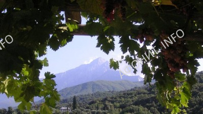 Святая Гора Афон