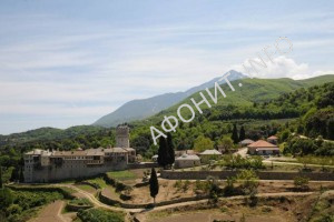 Karakal